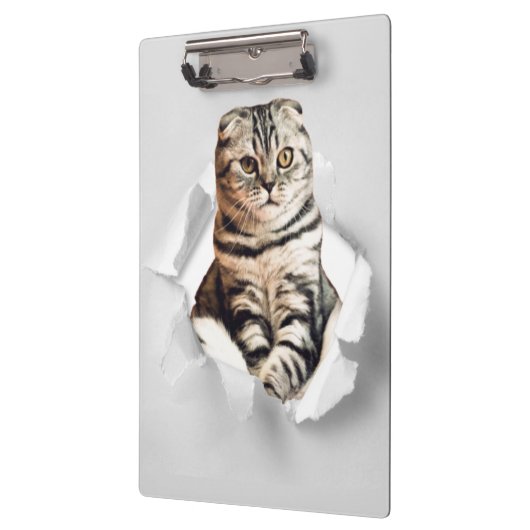 Funny Grey Cat Popping Through Torn Paper Illusion Klemmbrett (Links)