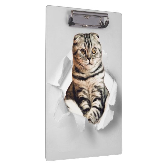 Funny Grey Cat Popping Through Torn Paper Illusion Klemmbrett (Rechts)