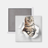 Funny Grey Cat Popping Through Torn Paper Illusion Magnet (Vorderseite/Rückseite)