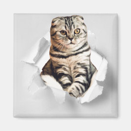 Funny Grey Cat Popping Through Torn Paper Illusion Magnet
