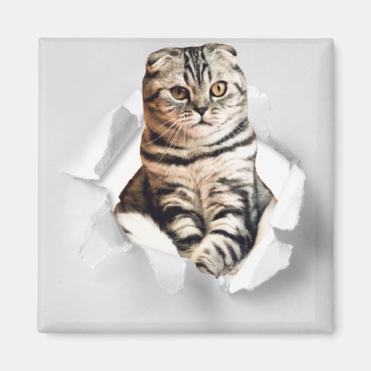 Funny Grey Cat Popping Through Torn Paper Illusion Magnet (Vorne)