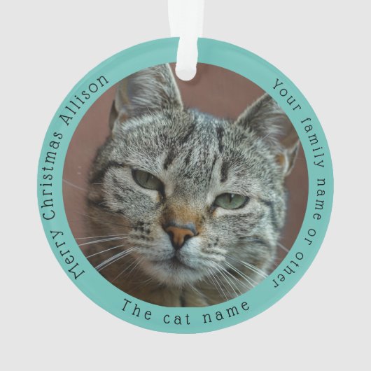 Funny Grey Tabby Cat Besuchen Weihnachten Ornament (Rückseite)