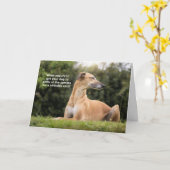 Funny Greyhound Dog Birthday Karte (Gelbe Blume)