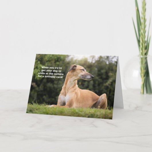 Funny Greyhound Dog Birthday Karte (Vorderseite)