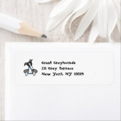 Funny Greyhound Whippet (Insitu)