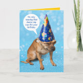 Funny Grimacing Chihuahua Birthday Dunce Cap Karte (Vorderseite)