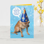 Funny Grimacing Chihuahua Birthday Dunce Cap Karte (Gelbe Blume)