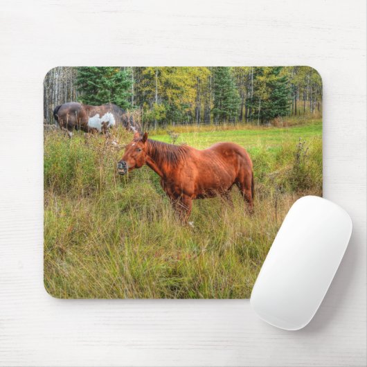 Funny Grinning Kastanien Mare & Pasta Foto Mousepad (Mit Mouse)