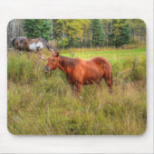 Funny Grinning Kastanien Mare & Pasta Foto Mousepad (Vorne)