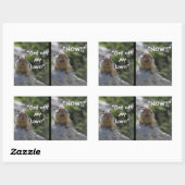 Funny Ground Eichhörnchen Steig von meinem Rasen Rechteckiger Aufkleber (Blatt)