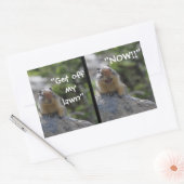 Funny Ground Eichhörnchen Steig von meinem Rasen Rechteckiger Aufkleber (Umschlag)