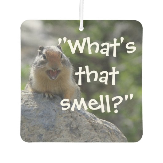 Funny Ground Squirrel Autolufterfrischer (Vorderseite)