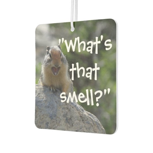 Funny Ground Squirrel Autolufterfrischer (Links)