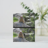 Funny Ground Squirrel Postkarte (Stehend Vorderseite)