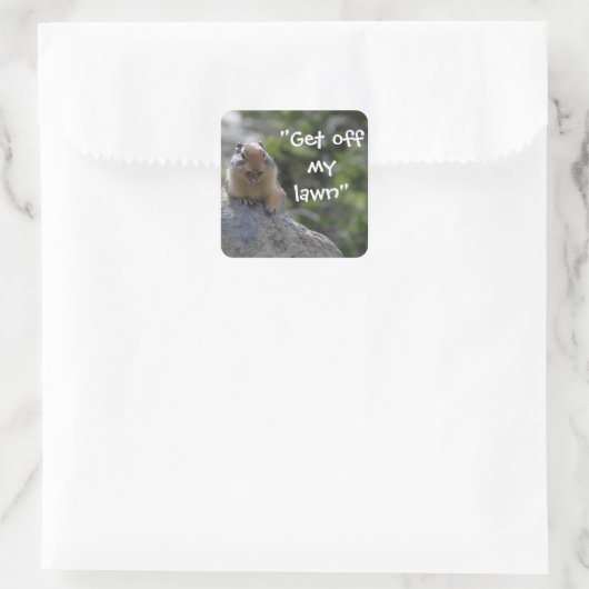 Funny Ground Squirrel Quadratischer Aufkleber (Tasche)