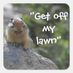 Funny Ground Squirrel Quadratischer Aufkleber