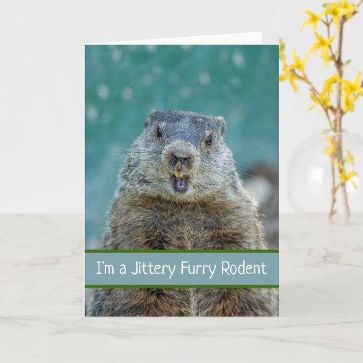 Funny Groundhog Day mit Jittery Furry Rodent Karte (Gelbe Blume)