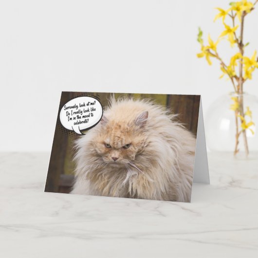 Funny Grumpy Cat Birthday Grußkarte Karte (Gelbe Blume)