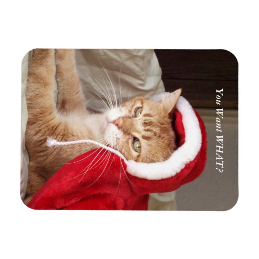 Funny Grumpy Cat Christmas Magnet Humorvoll (Horizontal)