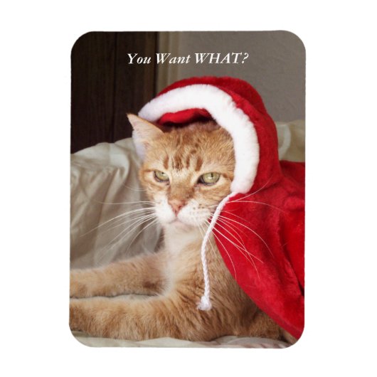 Funny Grumpy Cat Christmas Magnet Humorvoll (Vertikal)