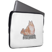 Funny grumpy cat meme für Katz- und Kitesurfer Laptopschutzhülle (Vorne Rechts)