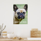 Funny Grumpy French Bulldog I Kennen Ihre Tricks Poster (Küche)