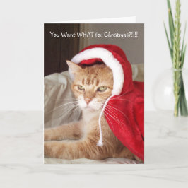 Funny Grumpy Ginger Cat Christmas Card Spaß Feiertagskarte