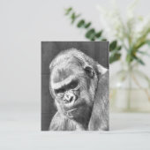 FUNNY GRUMPY GORILLA POSTKARTE (Stehend Vorderseite)