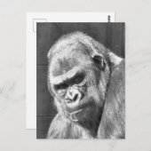 FUNNY GRUMPY GORILLA POSTKARTE (Vorne/Hinten)