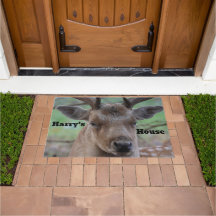 Funny Grumpy Stag Photo Personalised Doormat