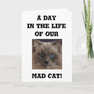 Funny Grußkarte Karte