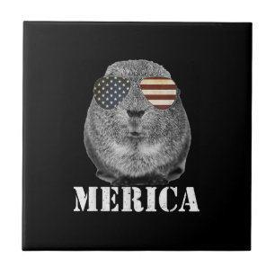 Funny Guinea Pig Merica Patriotic Usa Flaggenbrill Fliese