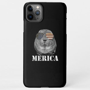 Funny Guinea Pig Merica Patriotic Usa Flaggenbrill iPhone 11Pro Max Hülle