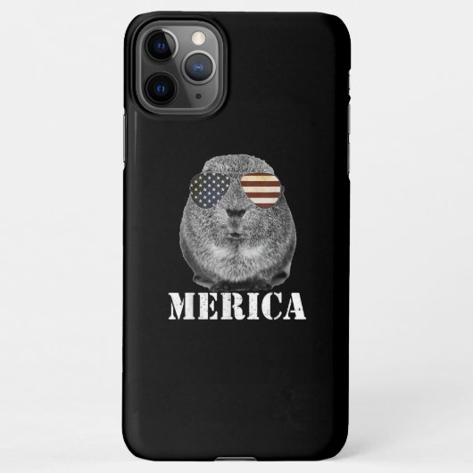 Funny Guinea Pig Merica Patriotic Usa Flaggenbrill iPhone Hülle (Rückseite)