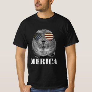 Funny Guinea Pig Merica Patriotic Usa Flaggenbrill T-Shirt