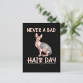Funny Hairless Cat Sphynx Hair Spaß Postkarte (Stehend Vorderseite)