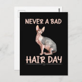 Funny Hairless Cat Sphynx Hair Spaß Postkarte (Vorne/Hinten)