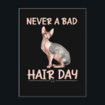 Funny Hairless Cat Sphynx Hair Spaß Postkarte<br><div class="desc">Funny Frisör Katzenhaar Sphynx Haare Spaß.</div>
