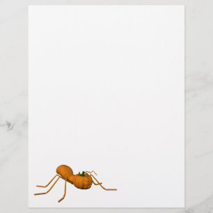 Funny Halloween Ant