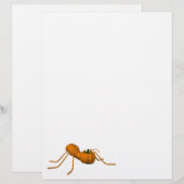 Funny Halloween Ant (Vorne/Hinten)