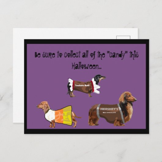 Funny Halloween Collect Candy Hunde Postkarte (Vorne/Hinten)