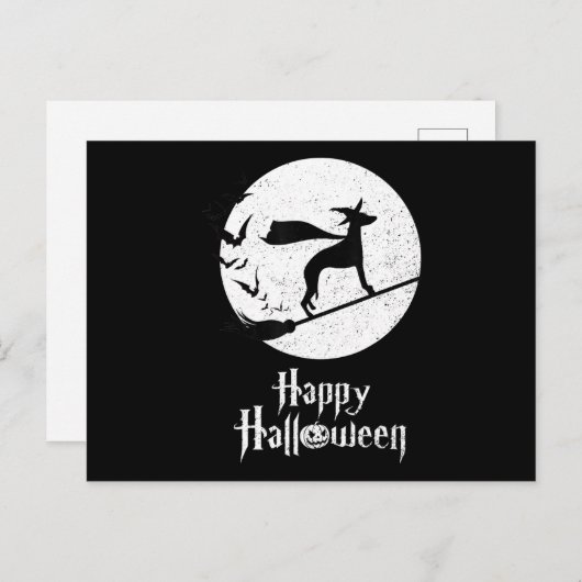 Funny Halloween Kostüm Hexe WHIPPET Dog Lover Gi Postkarte (Vorne/Hinten)