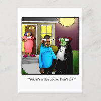 Funny Halloween Pumpkin Spaß Postcard