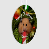 Funny Hamster Eating Candy Cane Ornament (Vorderseite)