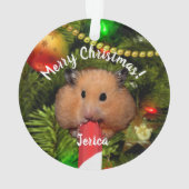 Funny Hamster Eating Candy Cane Ornament (Rückseite)