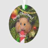 Funny Hamster Eating Candy Cane Ornament (Vorderseite)