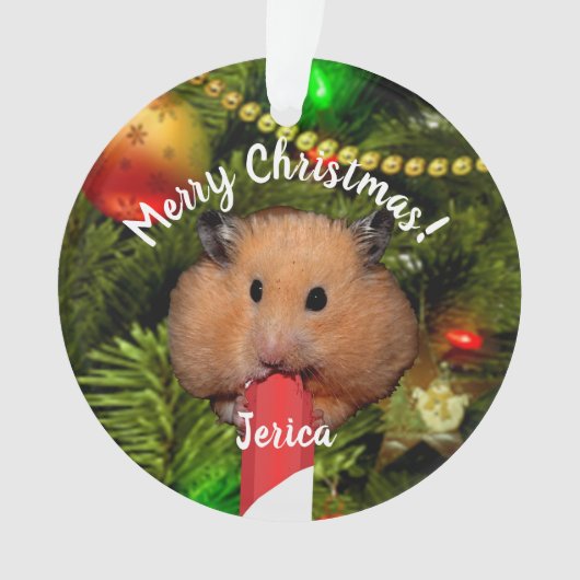 Funny Hamster Eating Candy Cane Ornament (Vorderseite)