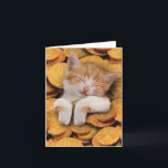 Funny Hanukkah Grußkarte - Katze im Gelt Karte<br><div class="desc">Über diesen Punkt * INSIDE GREETING: "Hoffe, dass dein Hanukka purr fect ist!" COVER - [Katzenbild mit Hanukkah Gelt] * KARTENGRÖSSE - 1, mit 12x18-Inch-Umschlag in normaler Größe erhalten. Wir bieten lustige Karten, die entweder leer oder grüßend im Inneren erscheinen, also überprüfen Sie vor dem Kauf alle Produkt-Fotos. * USE...</div>