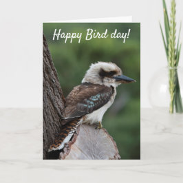Funny Happy Bird Day Birthday Kookaburra Australie Karte
