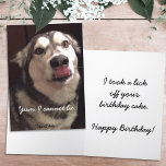 Funny Happy Birthday Alaskan Malamute Dog Karte<br><div class="desc">This greeting card cover displays a photograph of an Alaska Malamute with tongue sliding over its nose. Personalize the cover and inside gefühle for your specific chance or remove all text to leave room for a handwritten note inside. ©Patricia AZ Phillips</div>